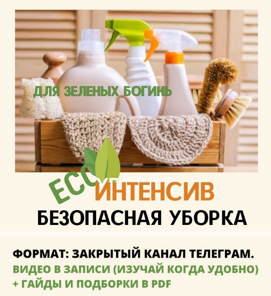 [Екатерина Кудерцева] Безопасная уборка (2024)_0.png